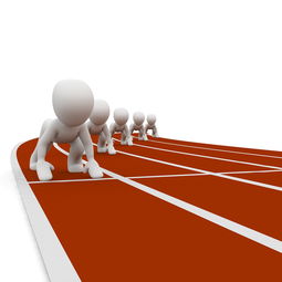 米兰体育·「中国」官方网站-中国篮球职业联赛赛事风险管理研究，中国篮球协会审定的最新《篮球竞赛规则》