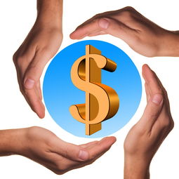 米兰体育官方网址入口-体育教学中增强现实与虚拟现实融合应用，结合教学实践谈谈示范在体育教学中的运用