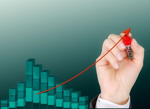 米兰体育在线登录-运动项目职业路径设计与发展研究，运动职业化