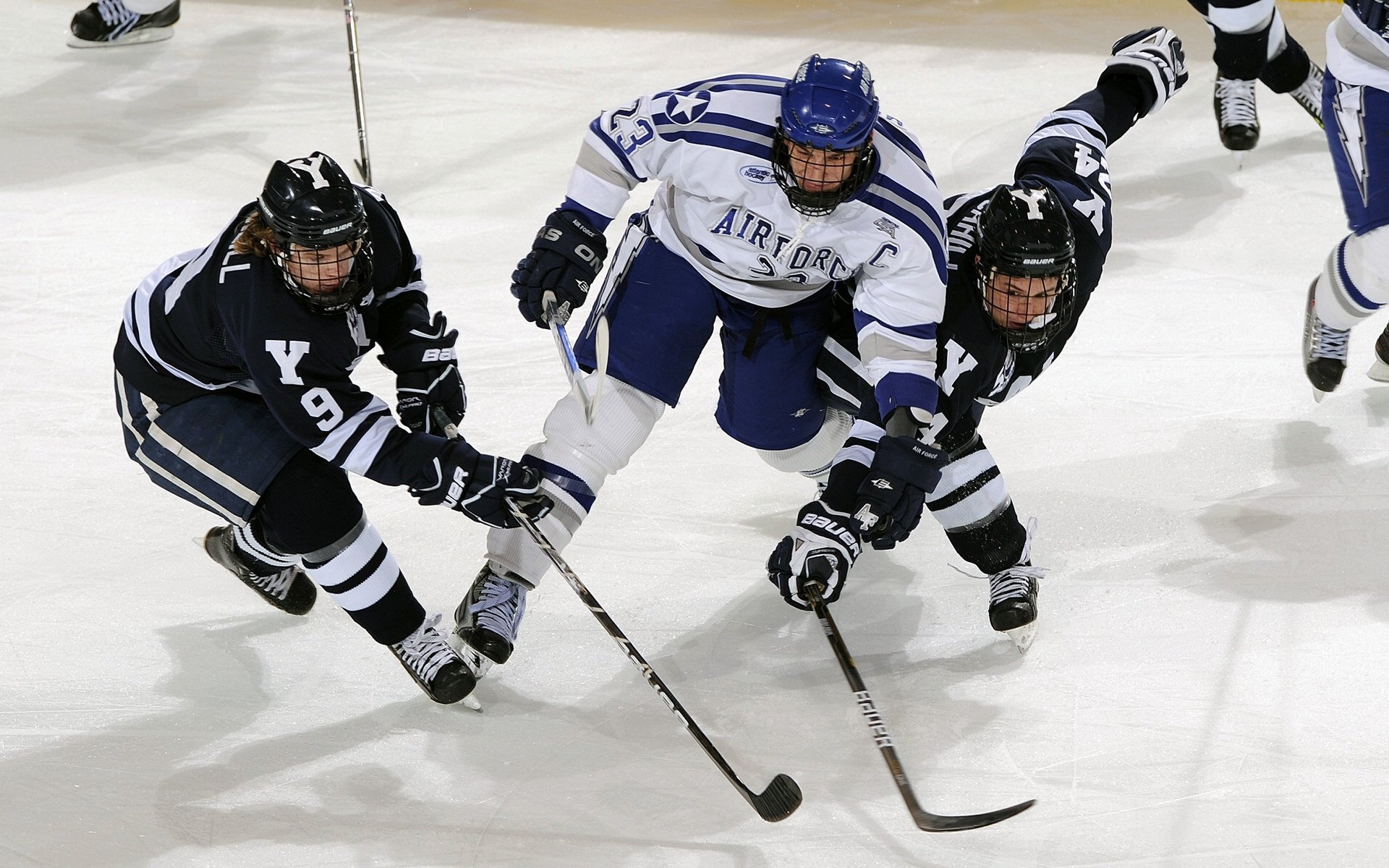 AC MILAN APP-青少年多运动项目选择机制与兴趣发展研究，青少年运动规划